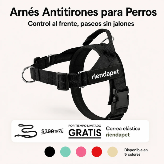 Arnés Antitirones Doble Anclaje