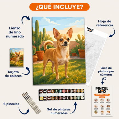 Kit de Pintura por Números Personalizado