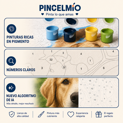 Kit de Pintura por Números Personalizado
